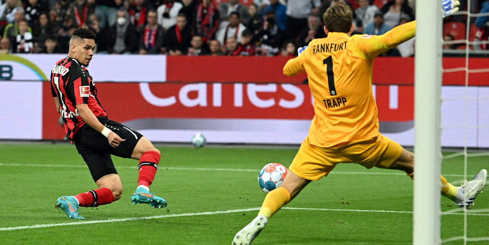 D07E721F-8BE1-40E3-B830-B3E43DB1C465