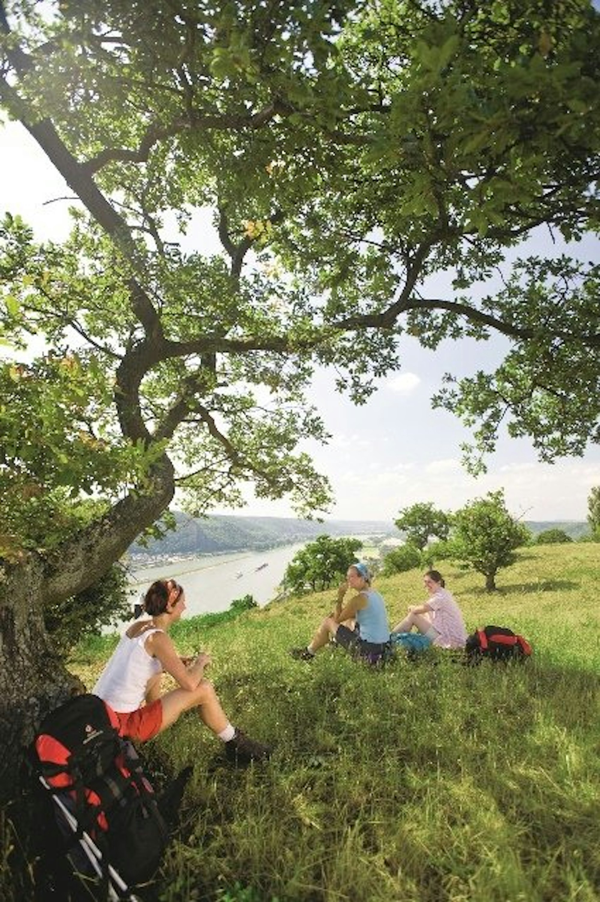 Eifel wandern Bad Breisig Dominik Ketz