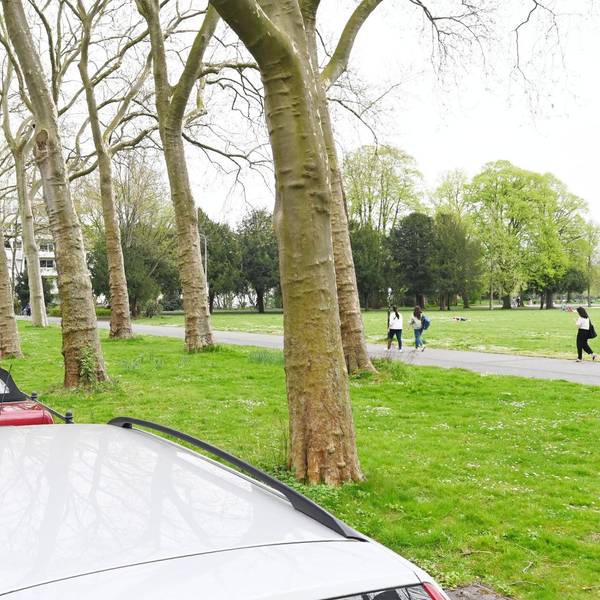 Parktaschen2