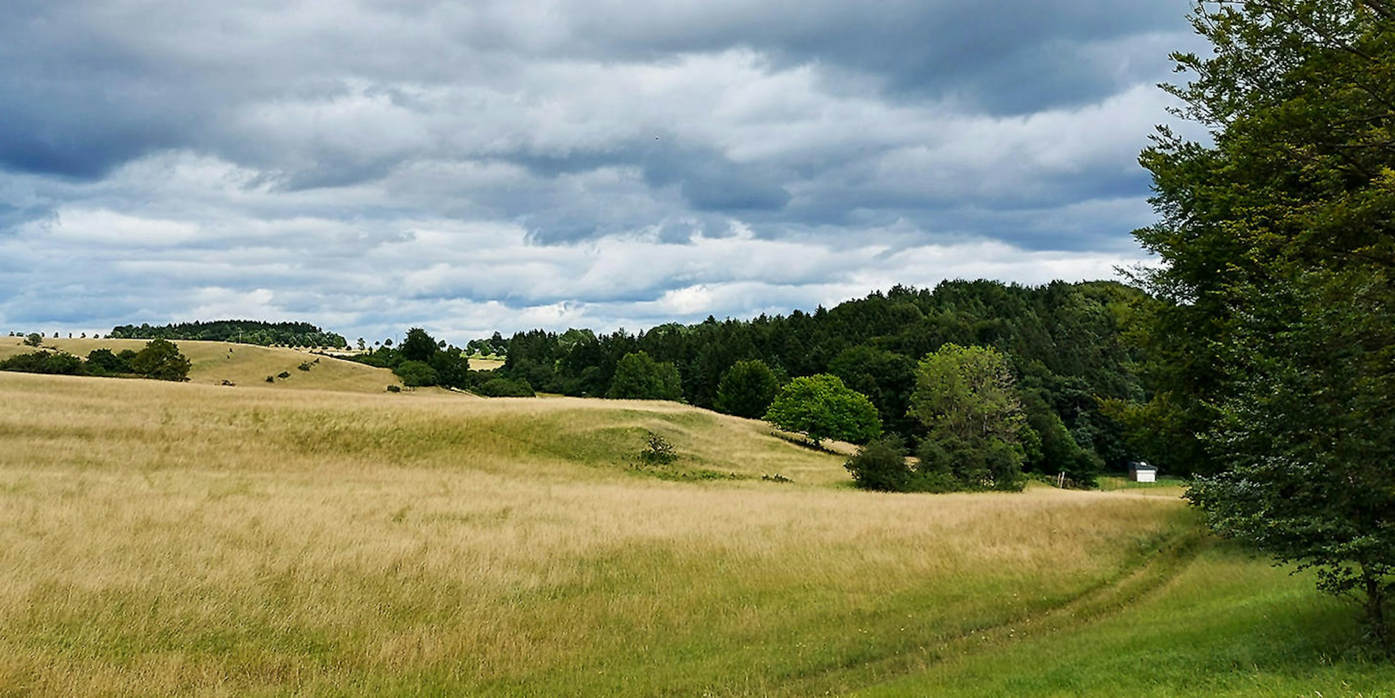 Naturschutz Blankenheim_002