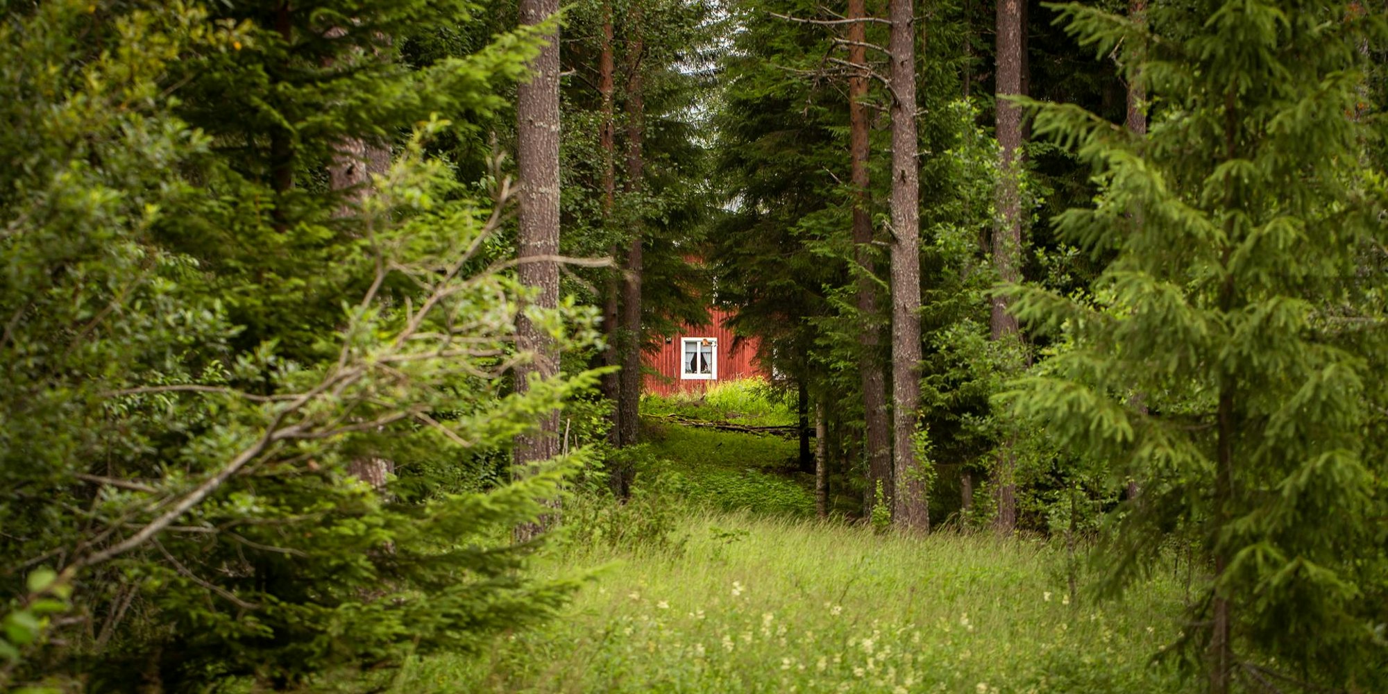 Waldhütte