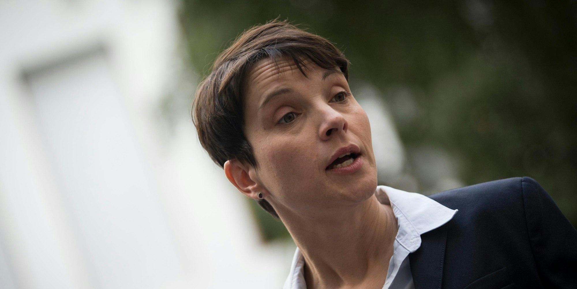 Petry (1)