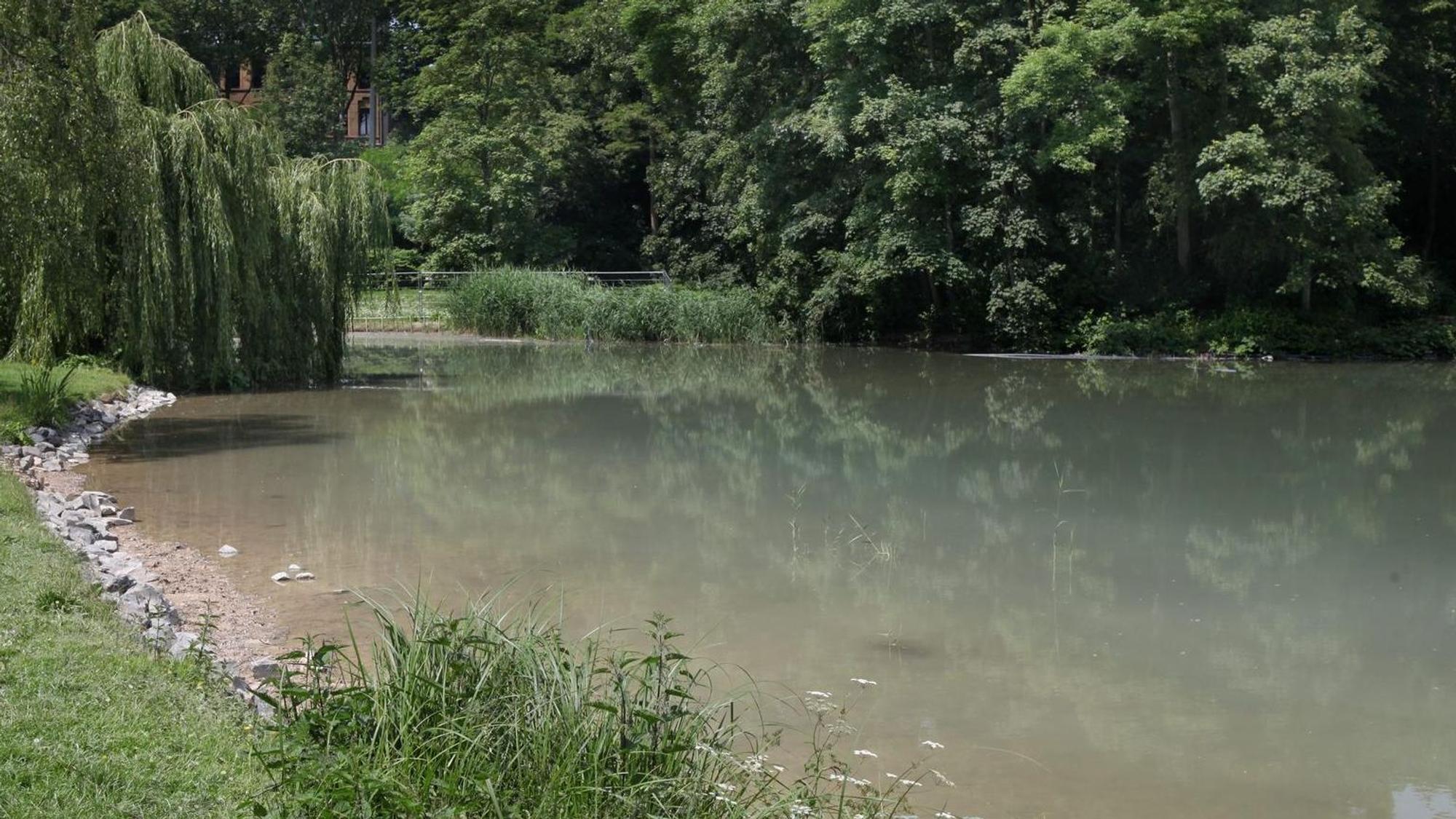 Wiese an einem See