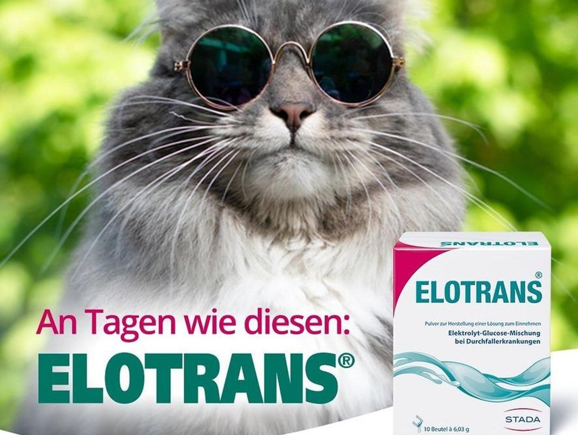 Neuer Inhalt