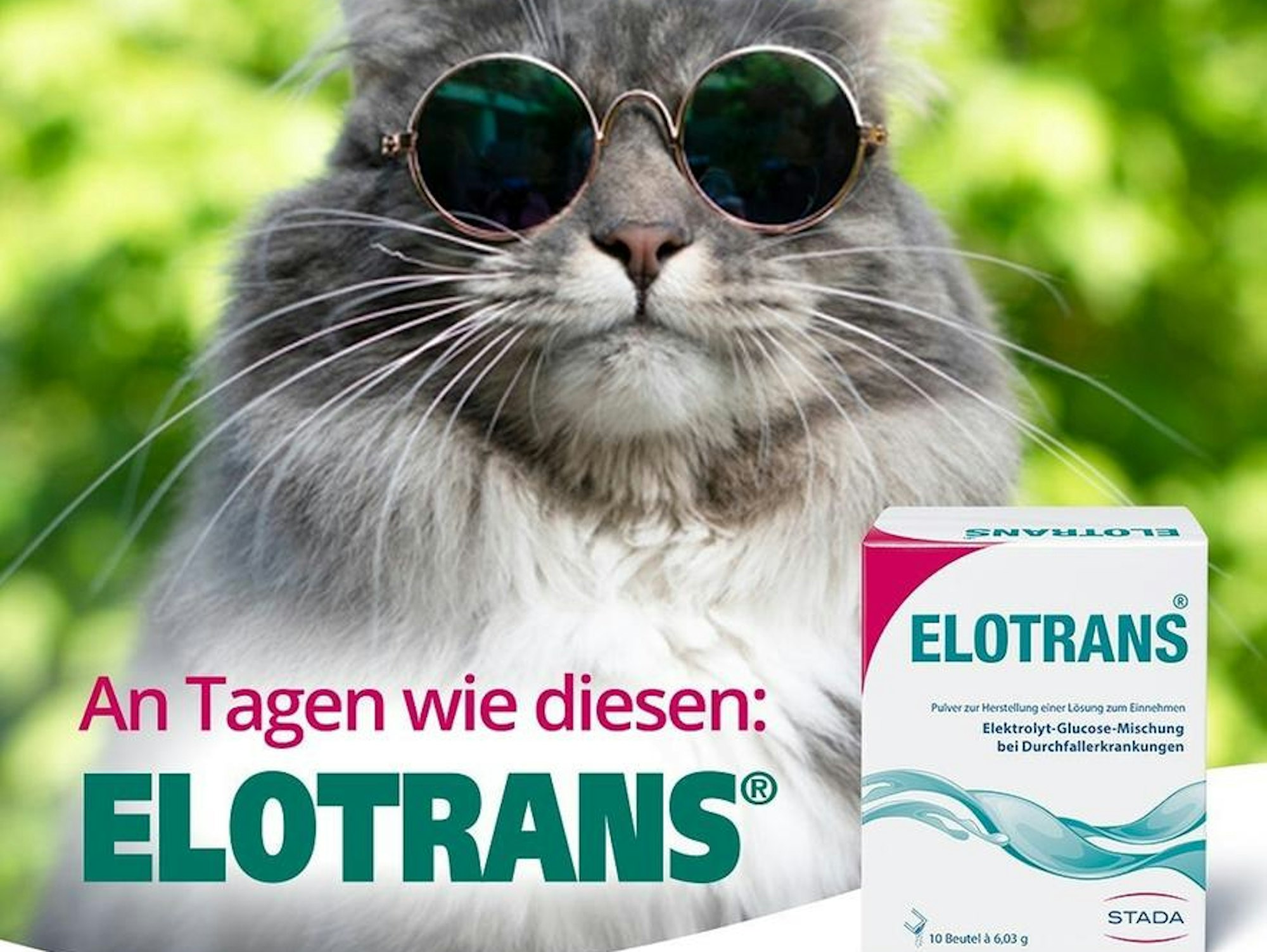 Neuer Inhalt