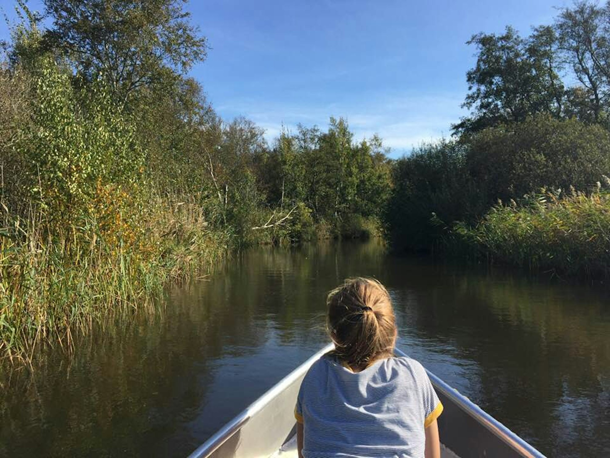 Drenthe Natur Boot Reiche_n
