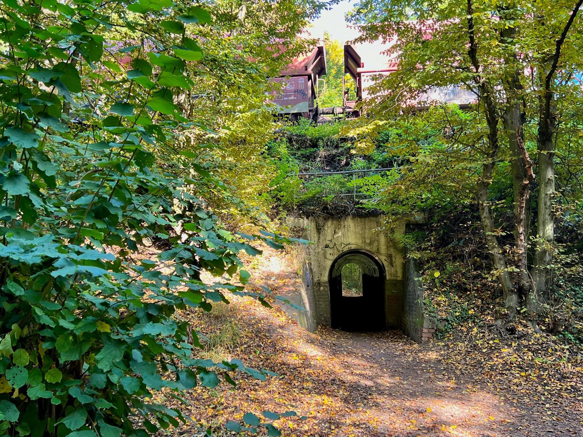 lei-tunnel