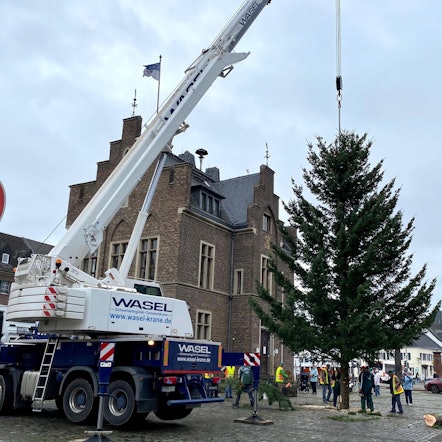 er-aufstellen-weihnachtsbaum1