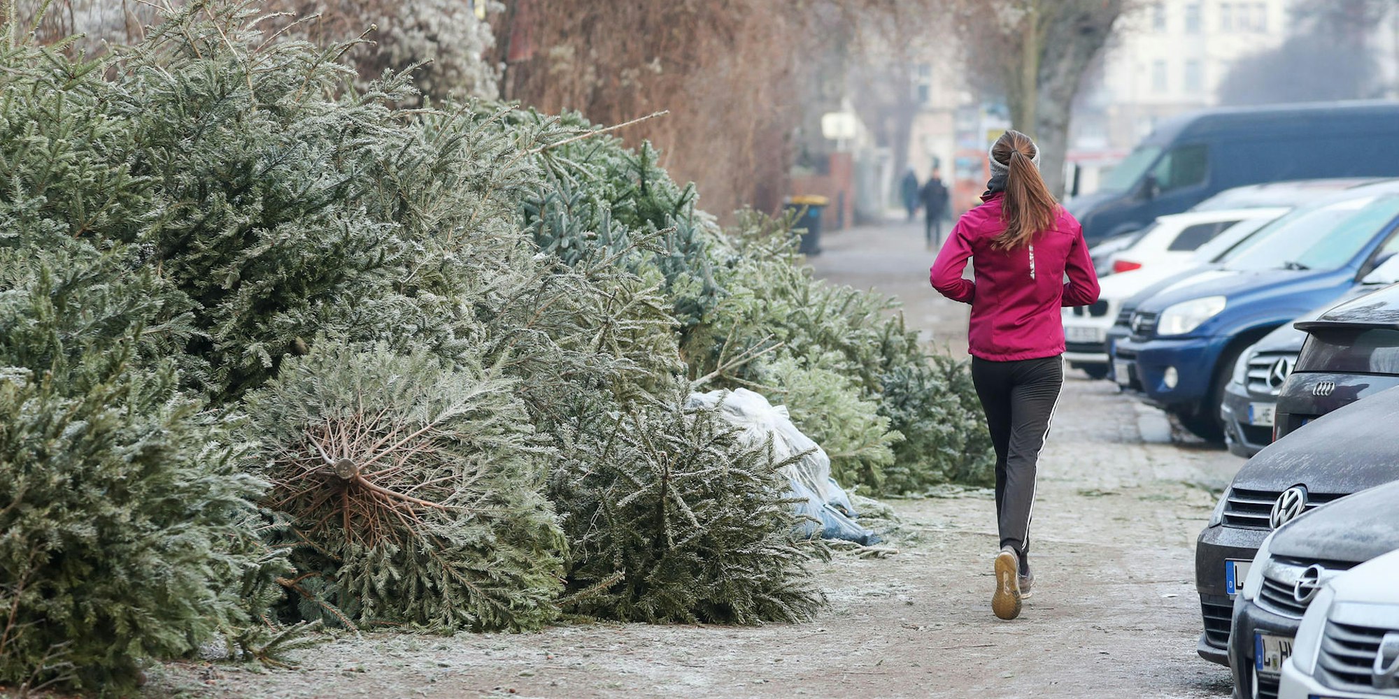 Abgelegte_Weihnachts_60080399