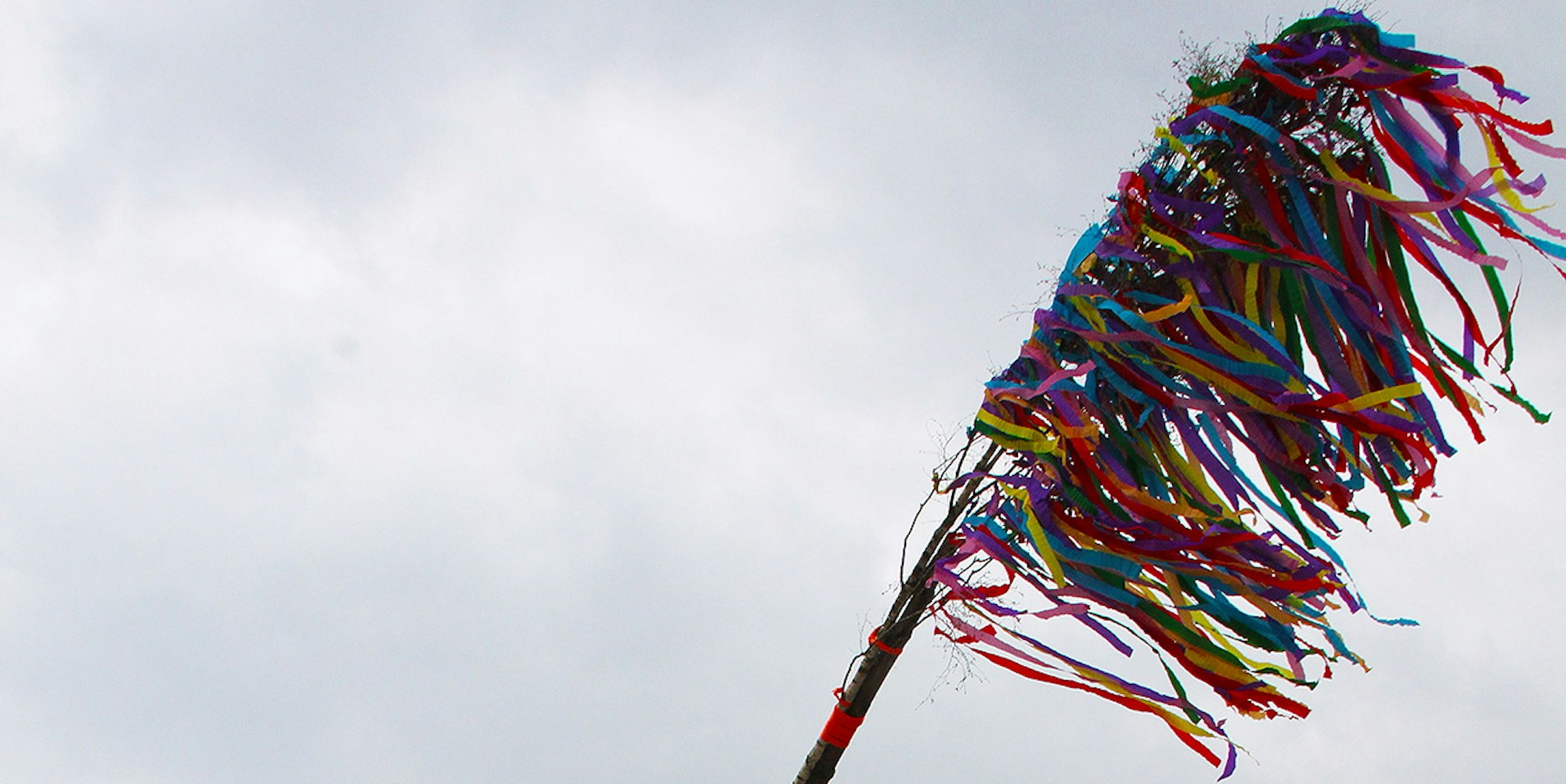 Maibaum Hollerath 2021