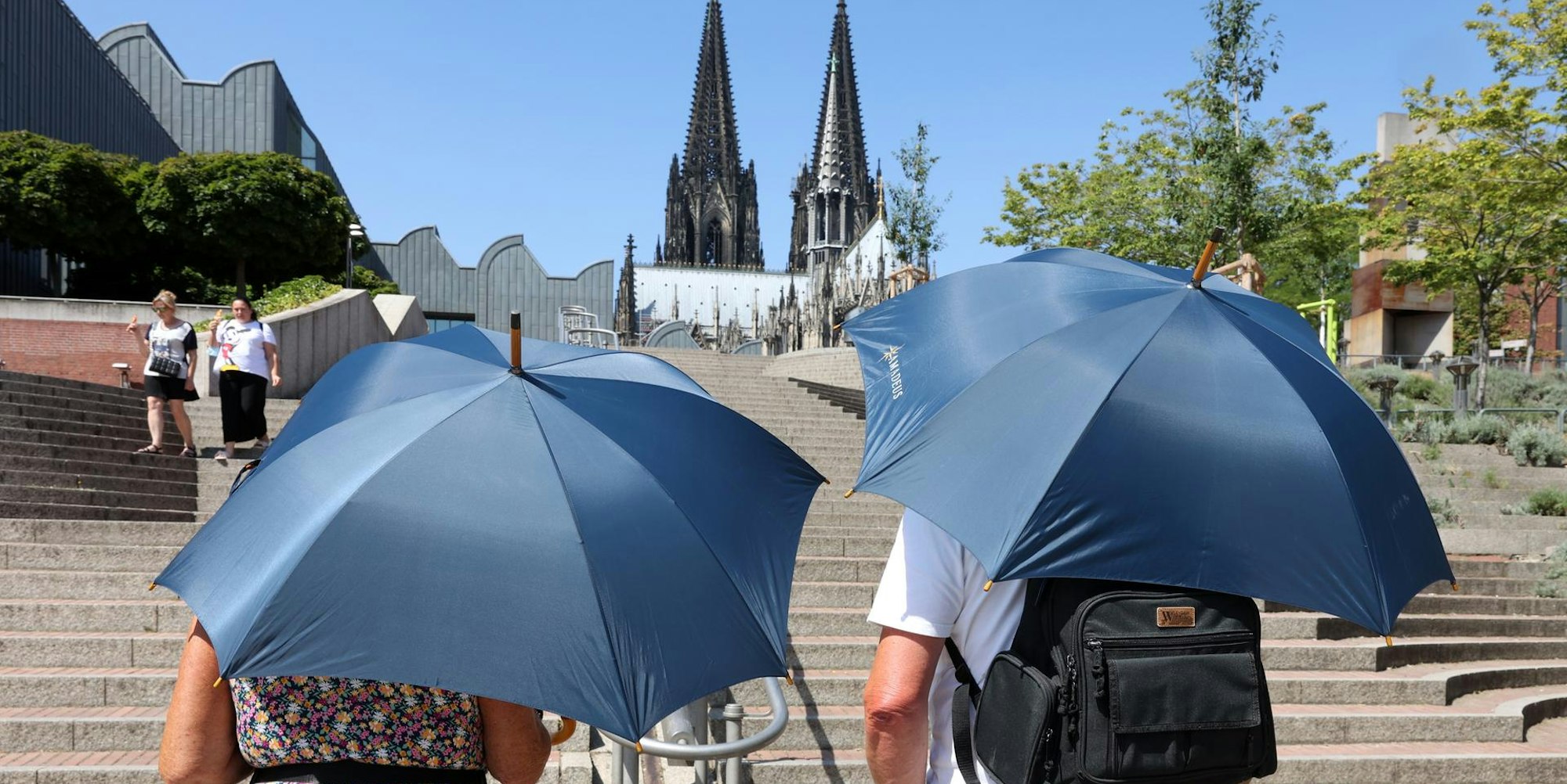 Schirme Hitze Dom GOY 190722