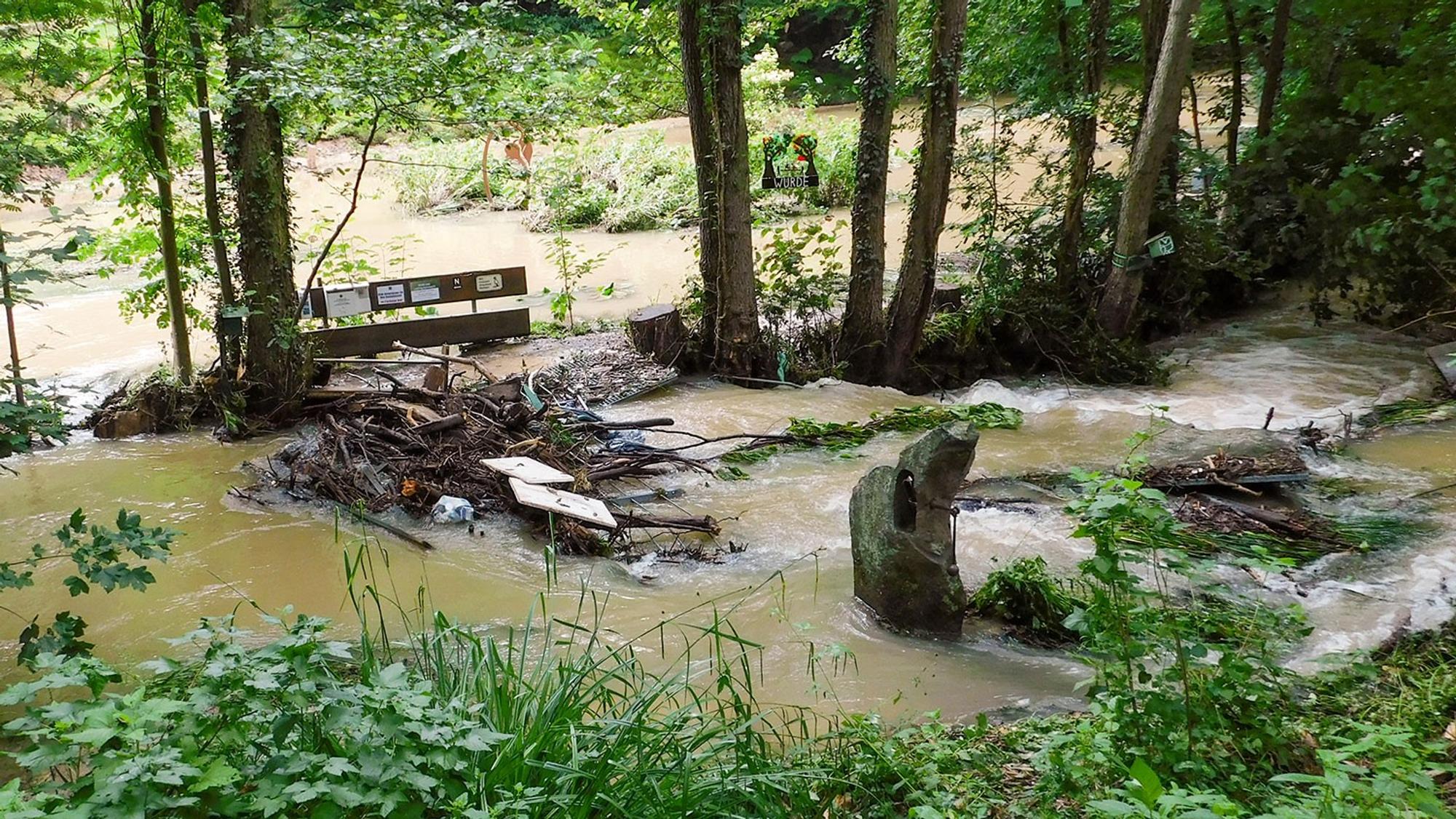 Sinneswald