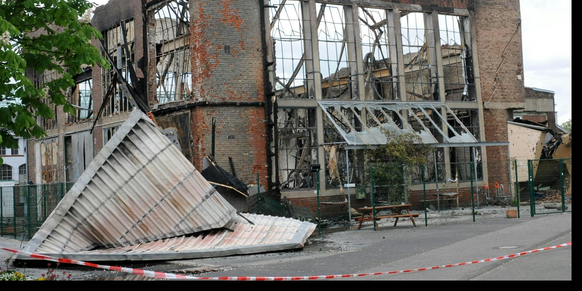 Chimpanzodrome gesichert