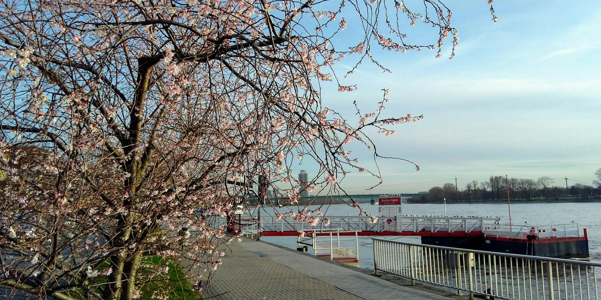 Frühling Reiche 03032017