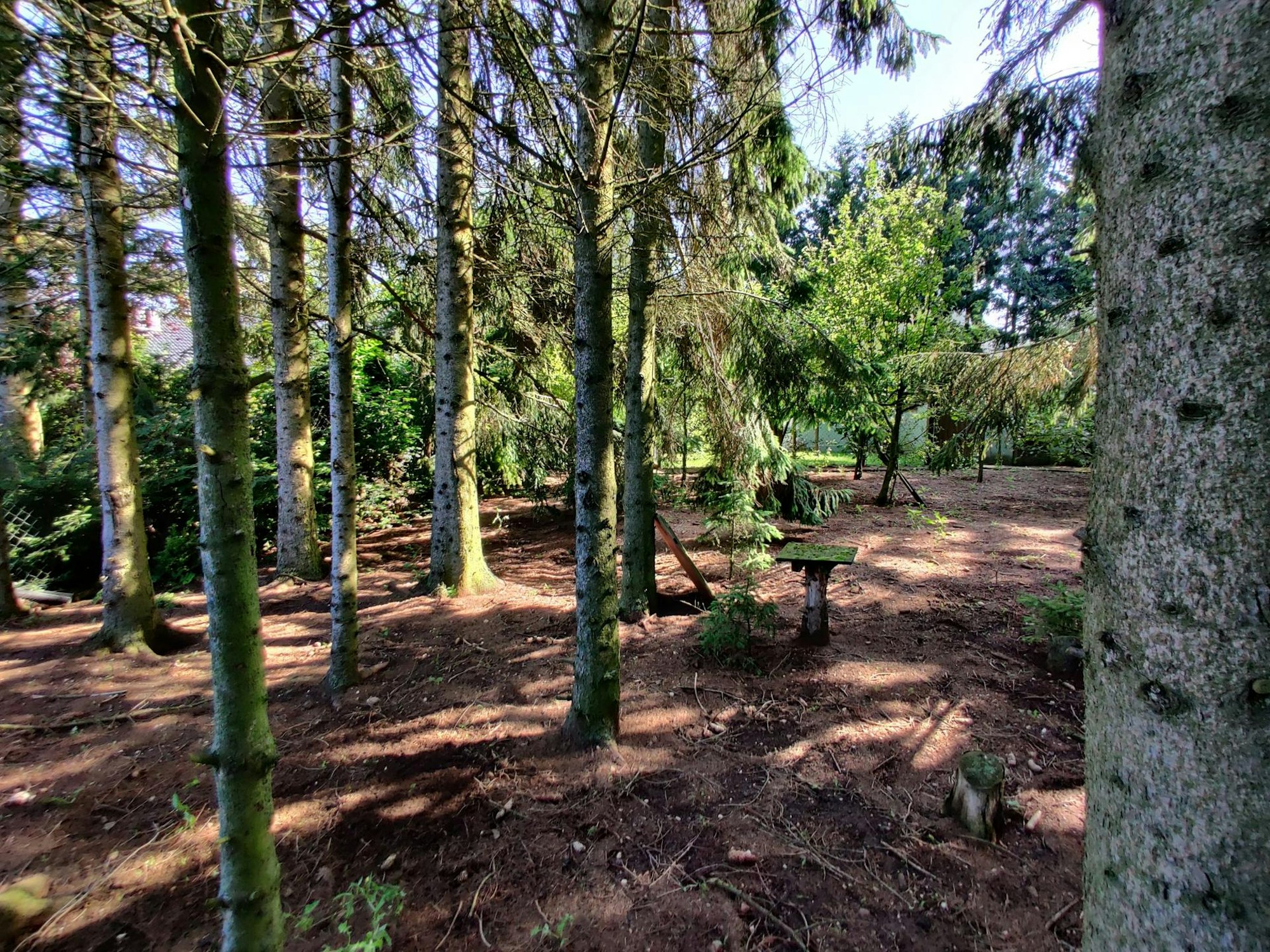 Camping_Zeltzuhause_Keldenich