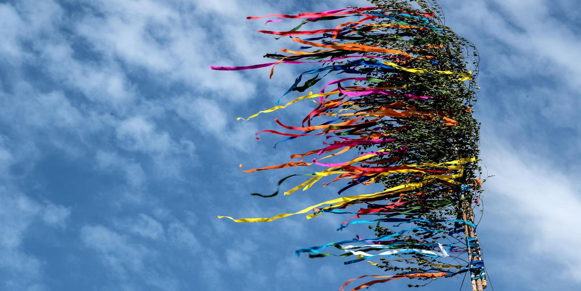 Maibaum symbol 2020