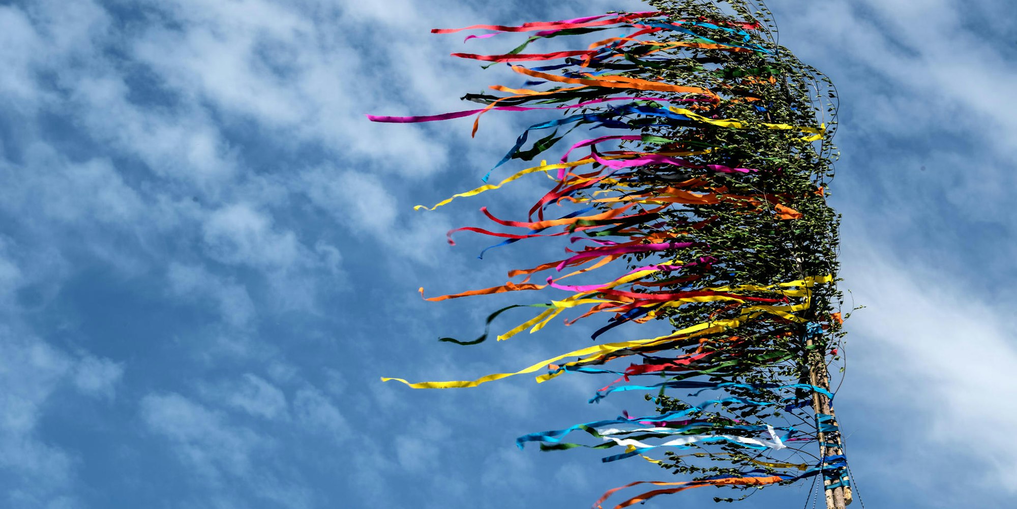 Maibaum symbol 2020