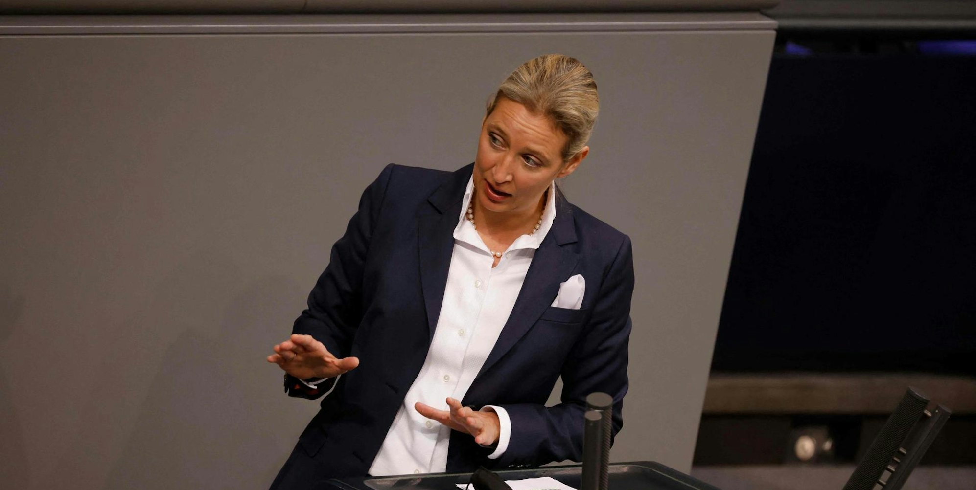 Weidel 091221