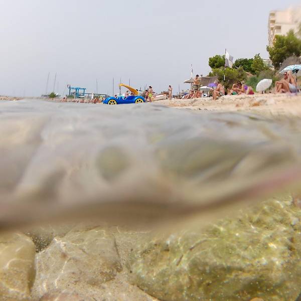 Strand Meer Mallorca