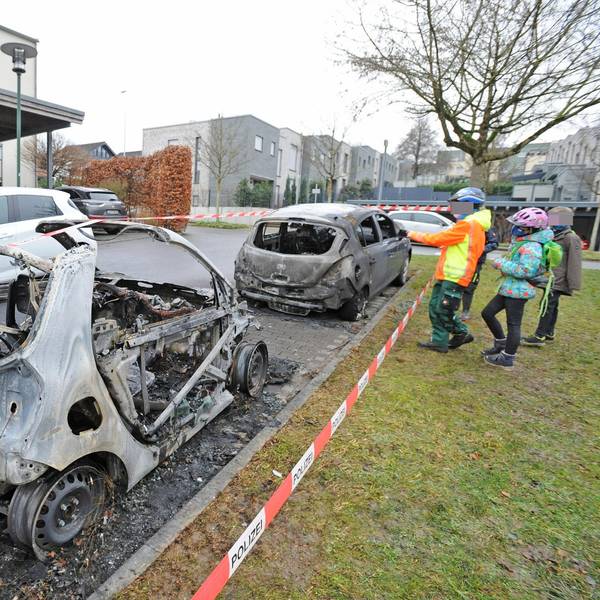 LE_auto-brand_(1)