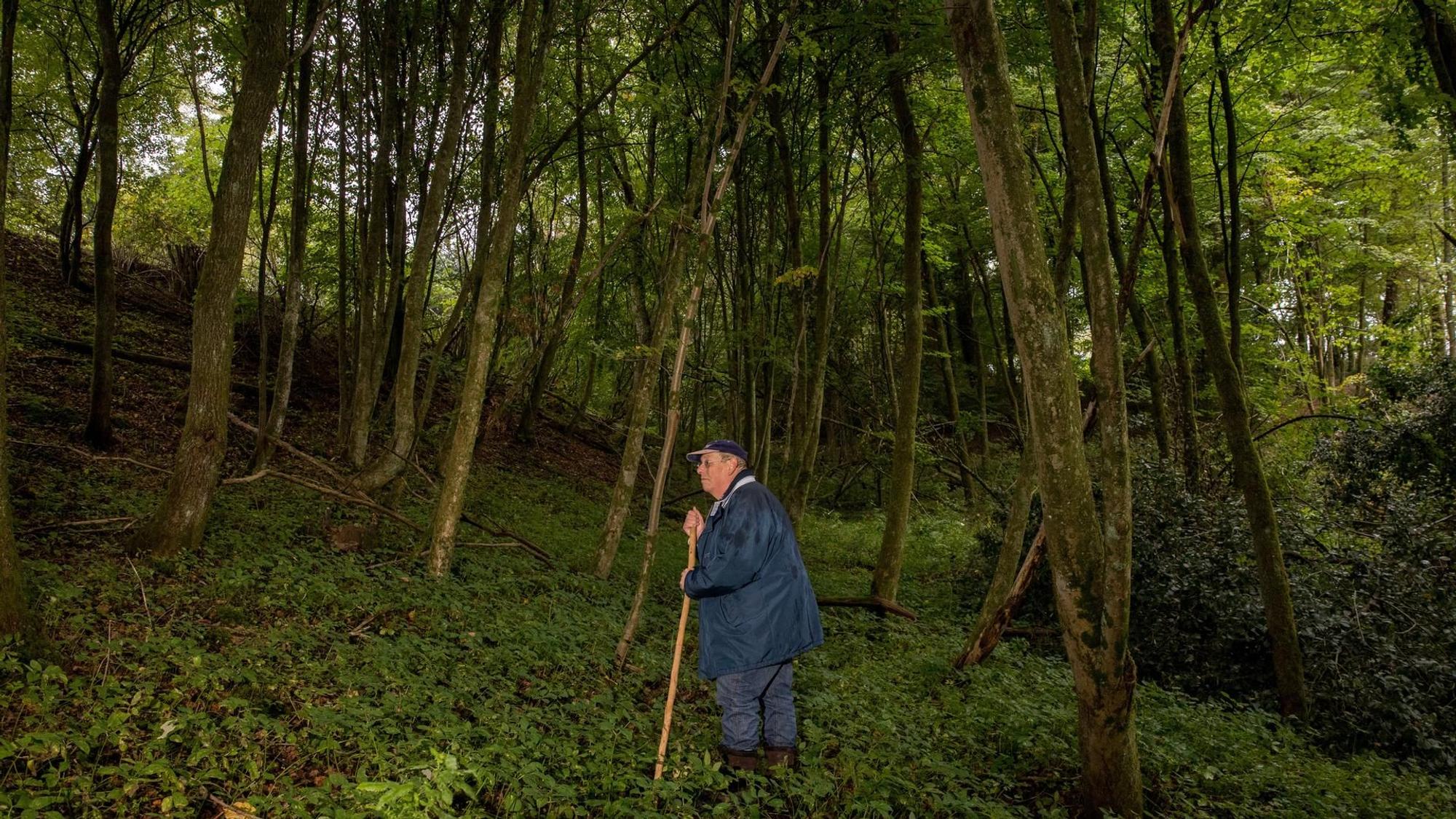 Ralf Dahlheuser mit seinem Stock im Wald.