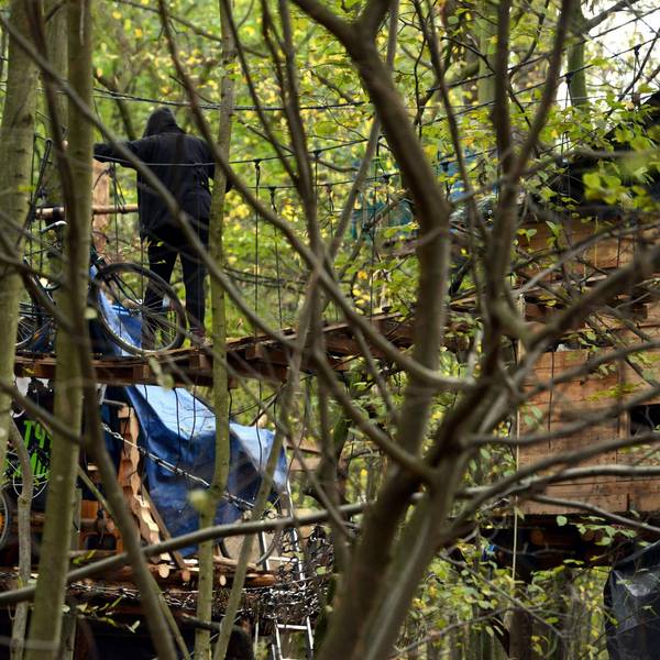 071119hambacherforst039