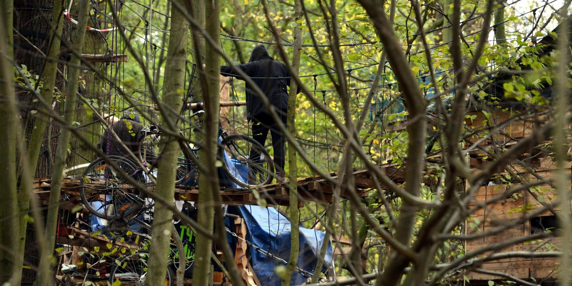 071119hambacherforst039