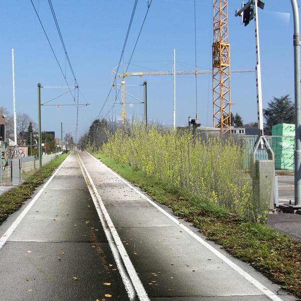 Neuer Inhalt