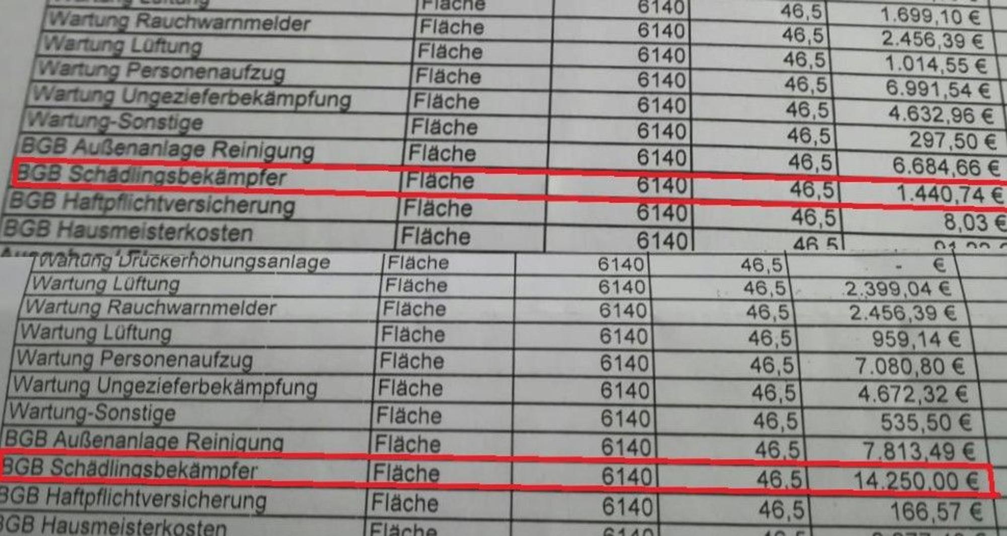 Nebenkostenabrechnung Ratten (1)