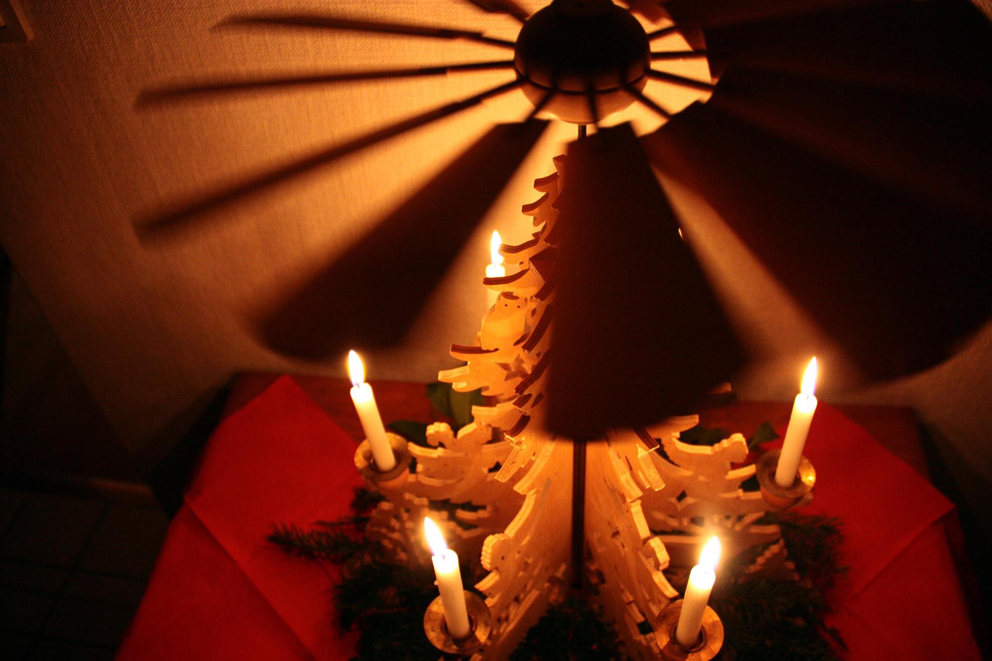 Warum_gibt_es_Baum_u_55111422