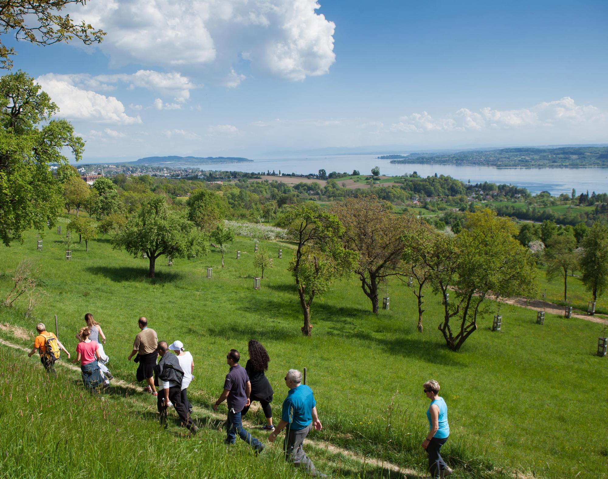 BW wandern_IMG_6739