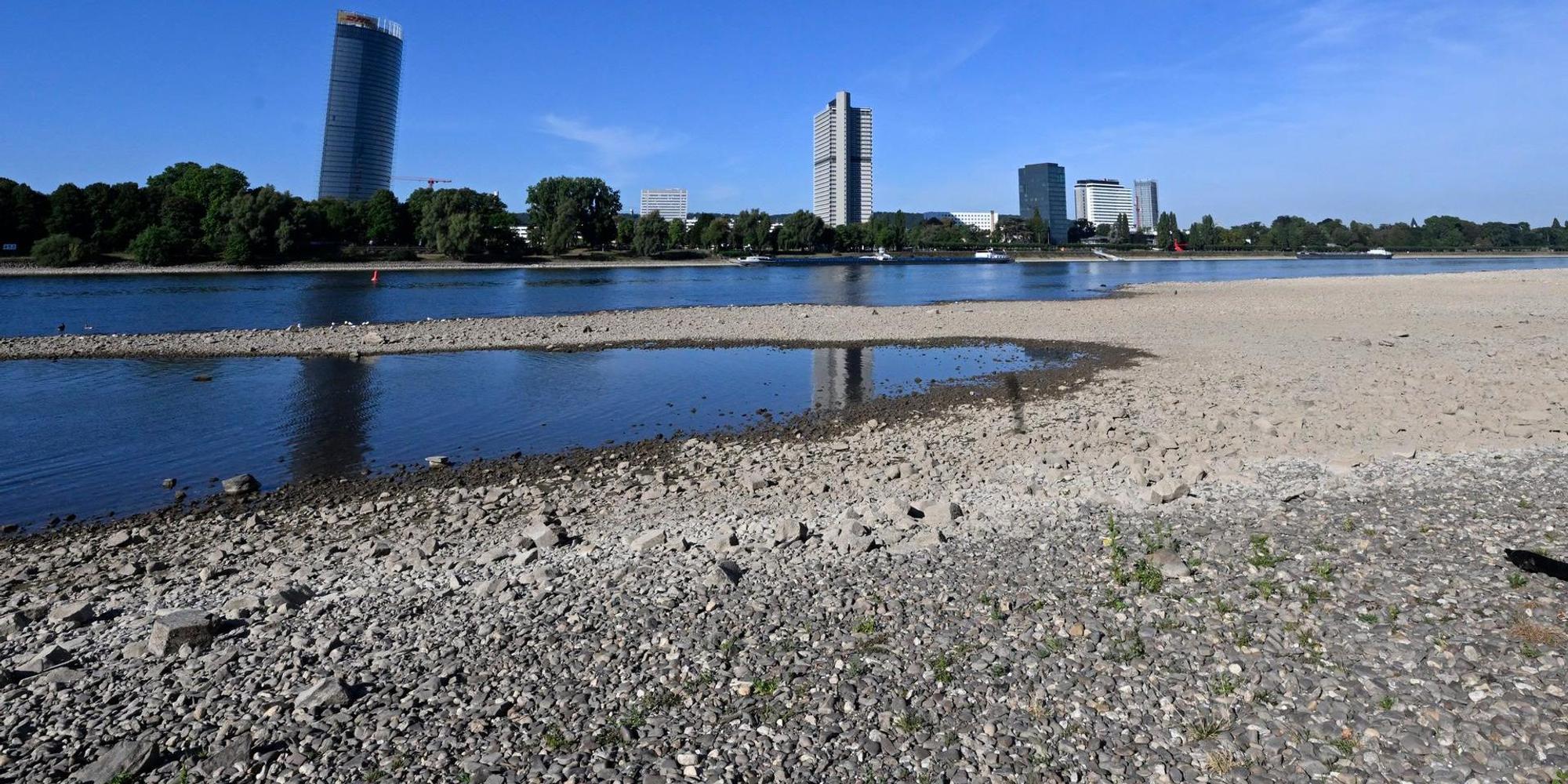 Rhein_Bonn