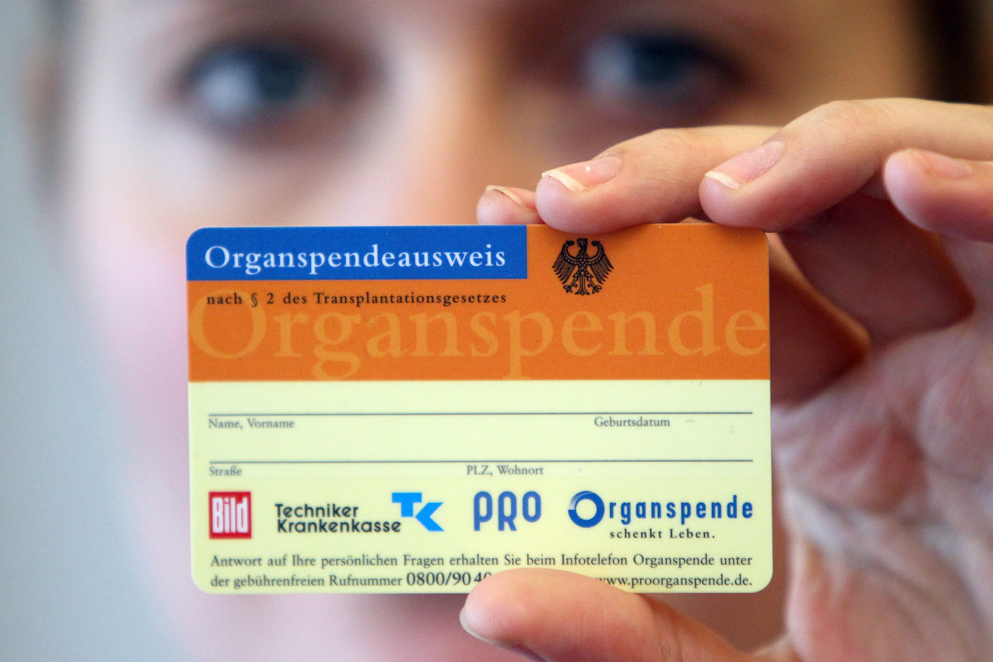 Neuer Inhalt