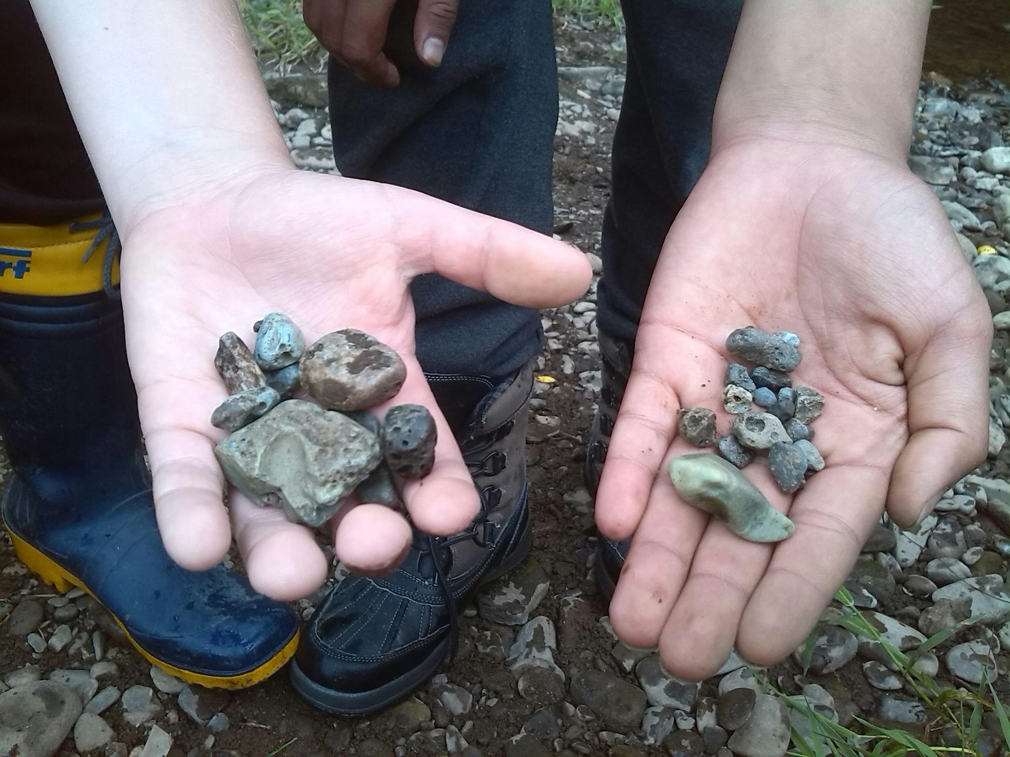 Aqualon Ferienfreizeit Wassersafari