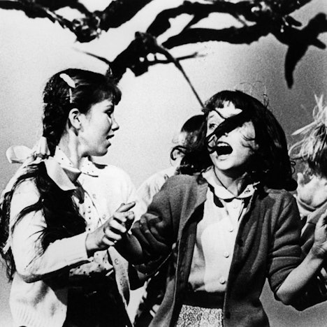 The Birds imago United Archives