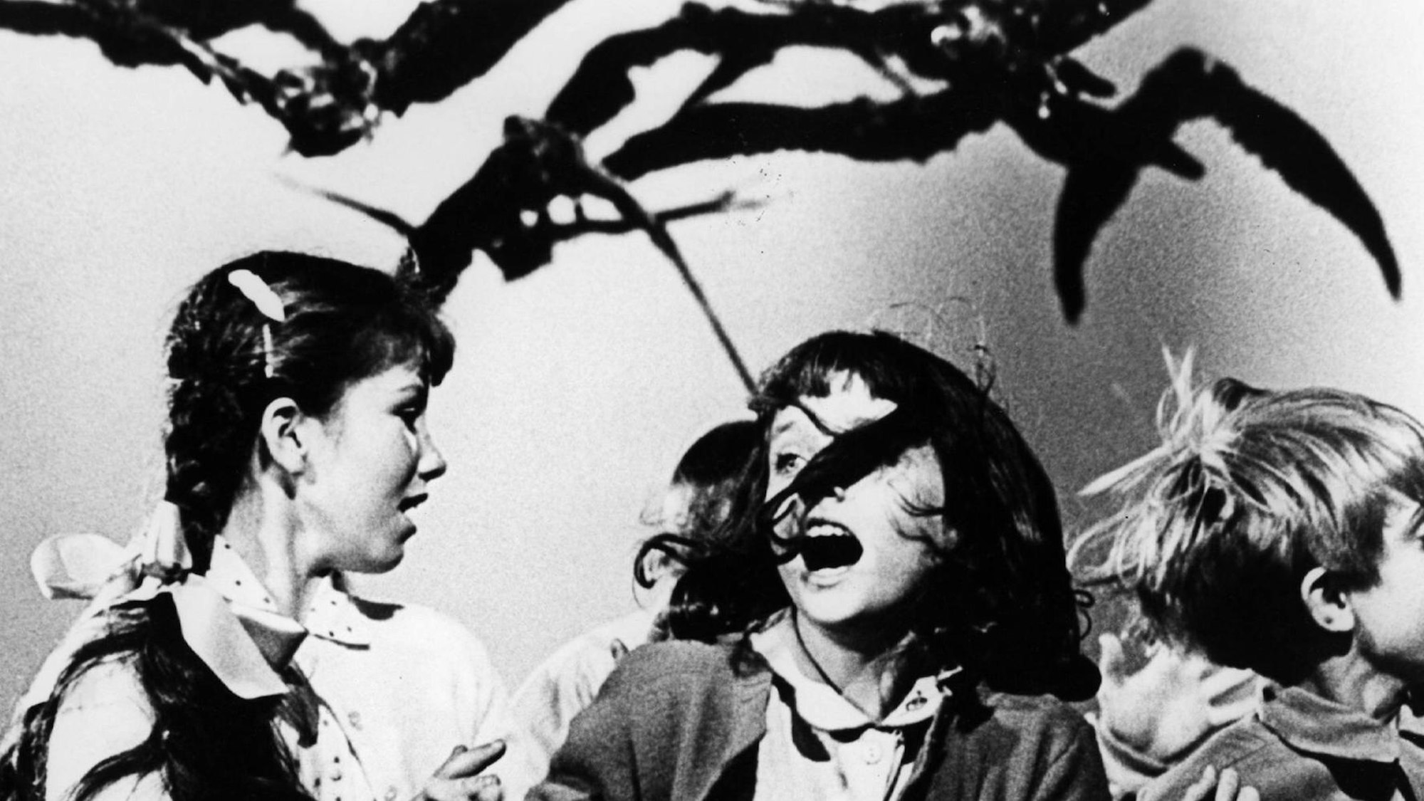 The Birds imago United Archives