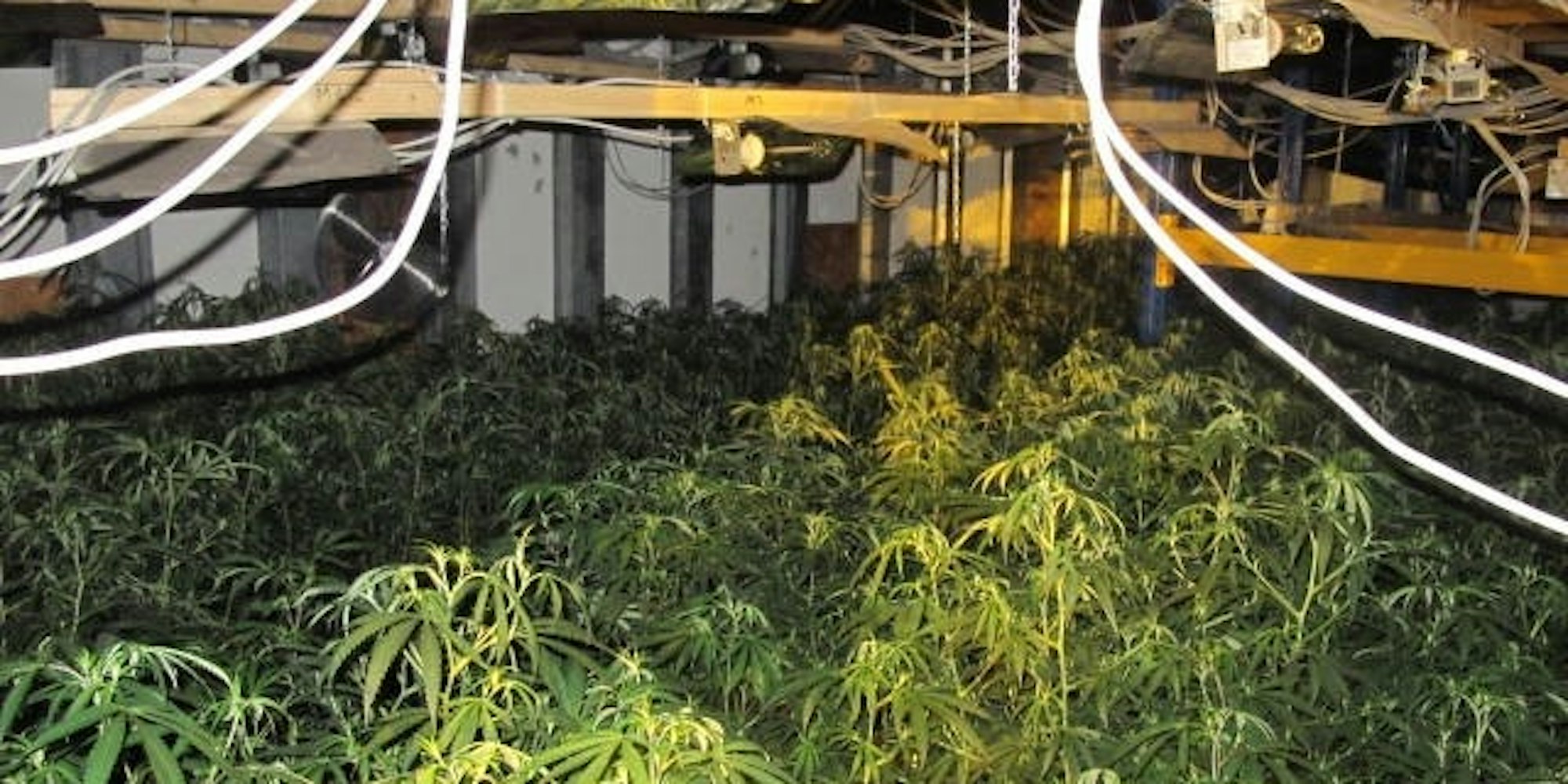 Kuchenheim Cannabis Waffenfund Polizei 1