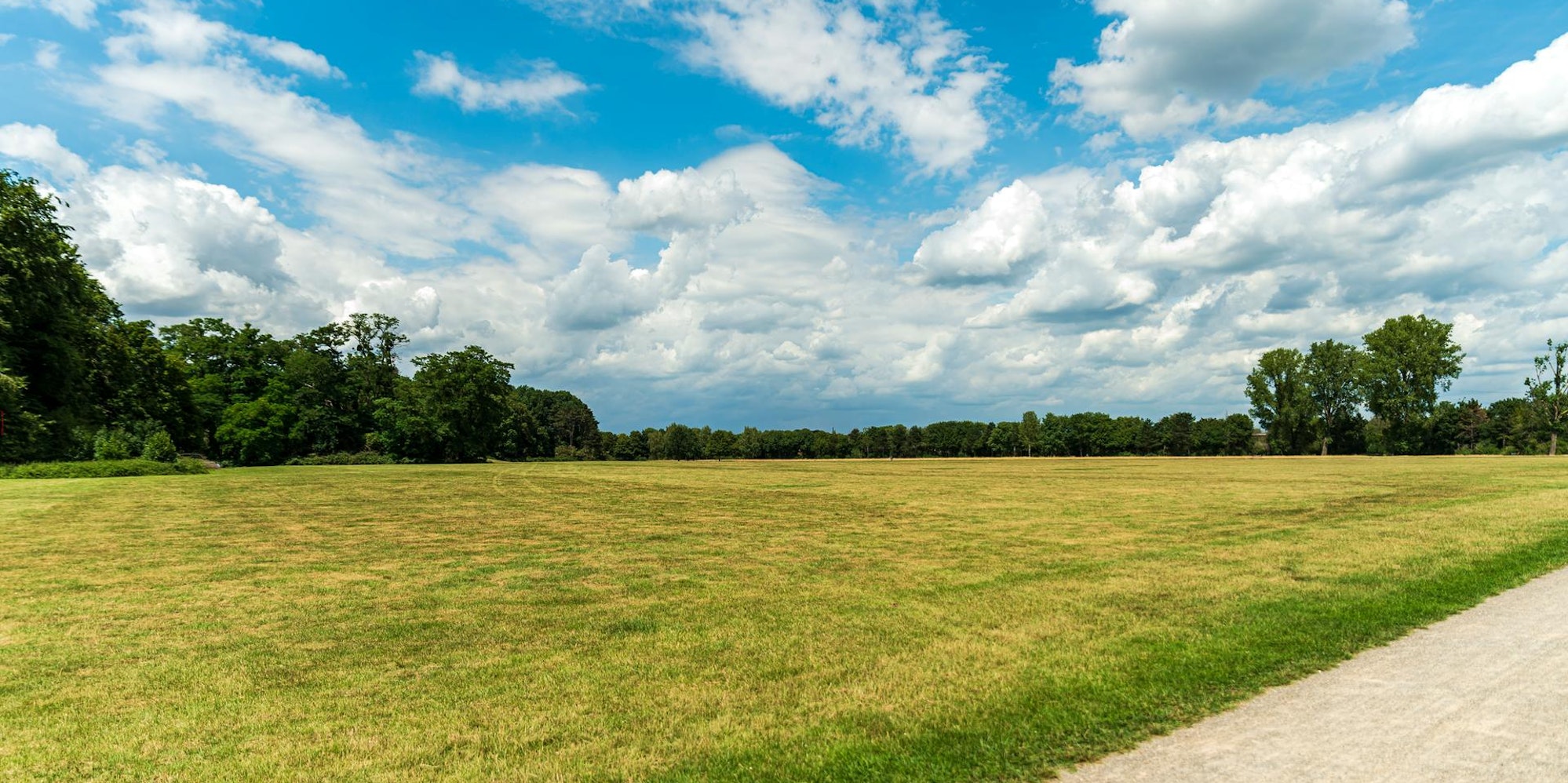 20200707-ARO-MerheimerHeide-2