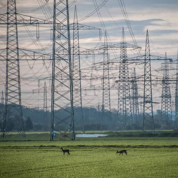 landschaft_mit_strom_LE-leverkusen17042021ALF_0114