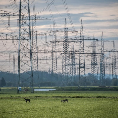 landschaft_mit_strom_LE-leverkusen17042021ALF_0114