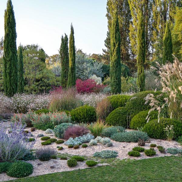 Gartenprofi Tipps