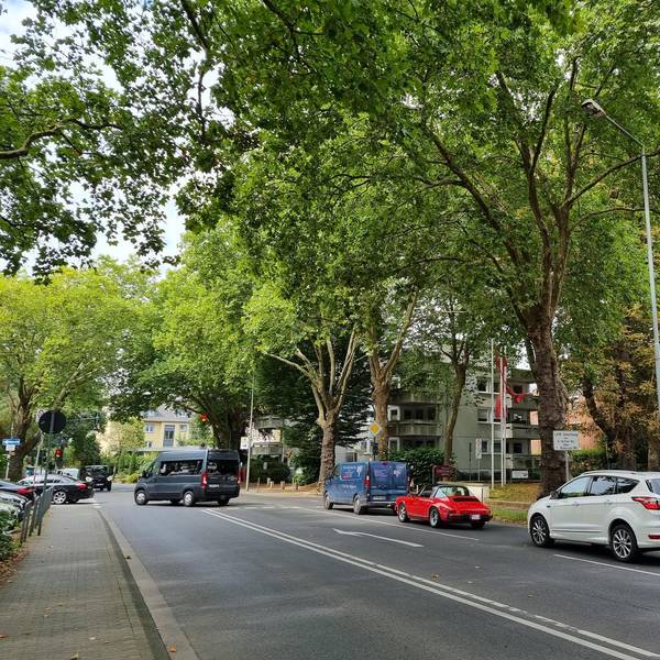 Stalking Leverkusen