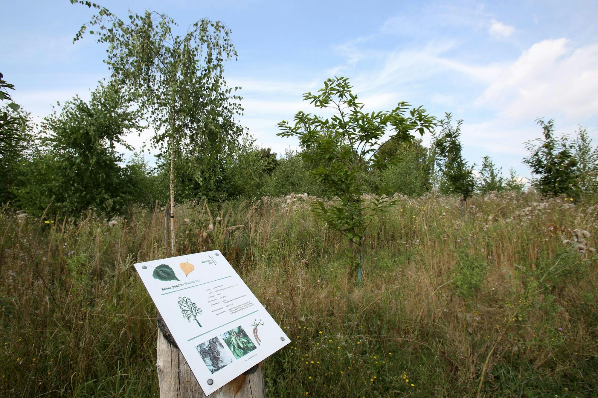 Waldlabor