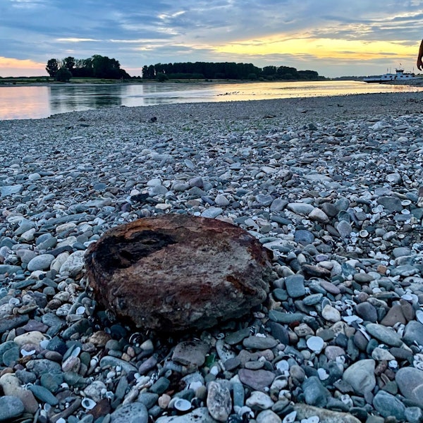 Panzermine Rheinufer Leverkusen Hitdorf
