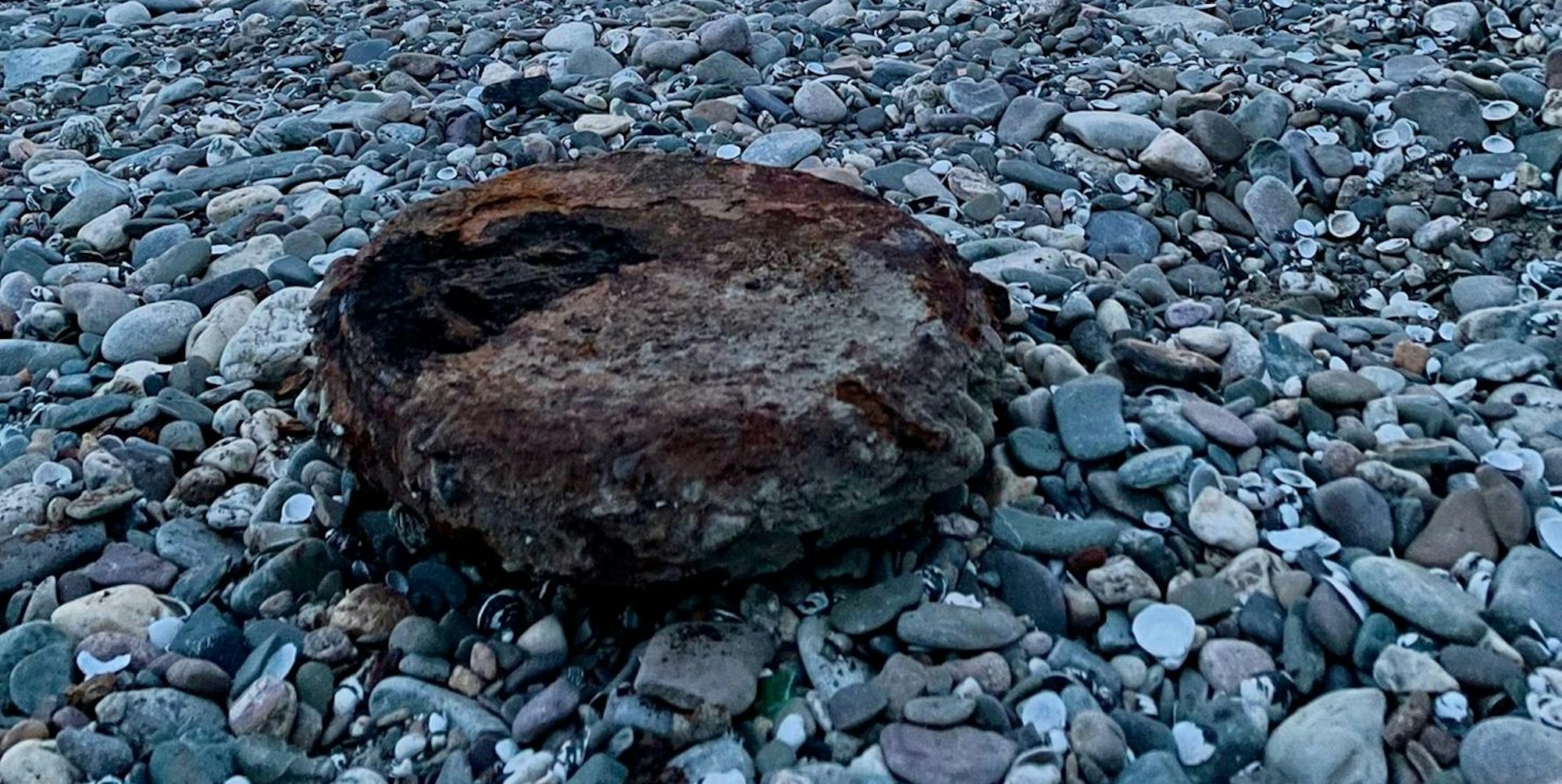 Panzermine Rheinufer Leverkusen Hitdorf