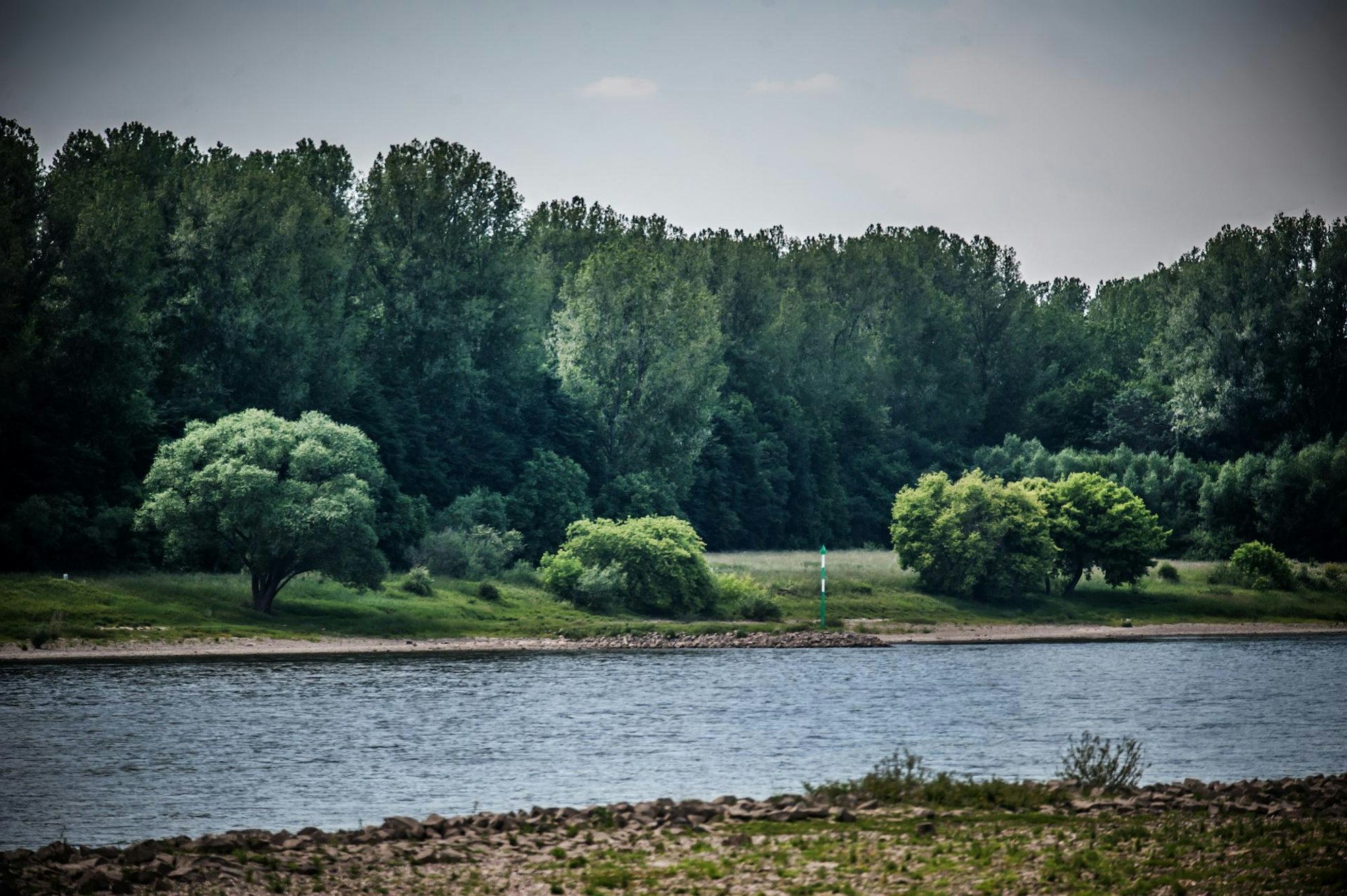 hitdorf-rhein_rar_rle_06022022ALF_9352