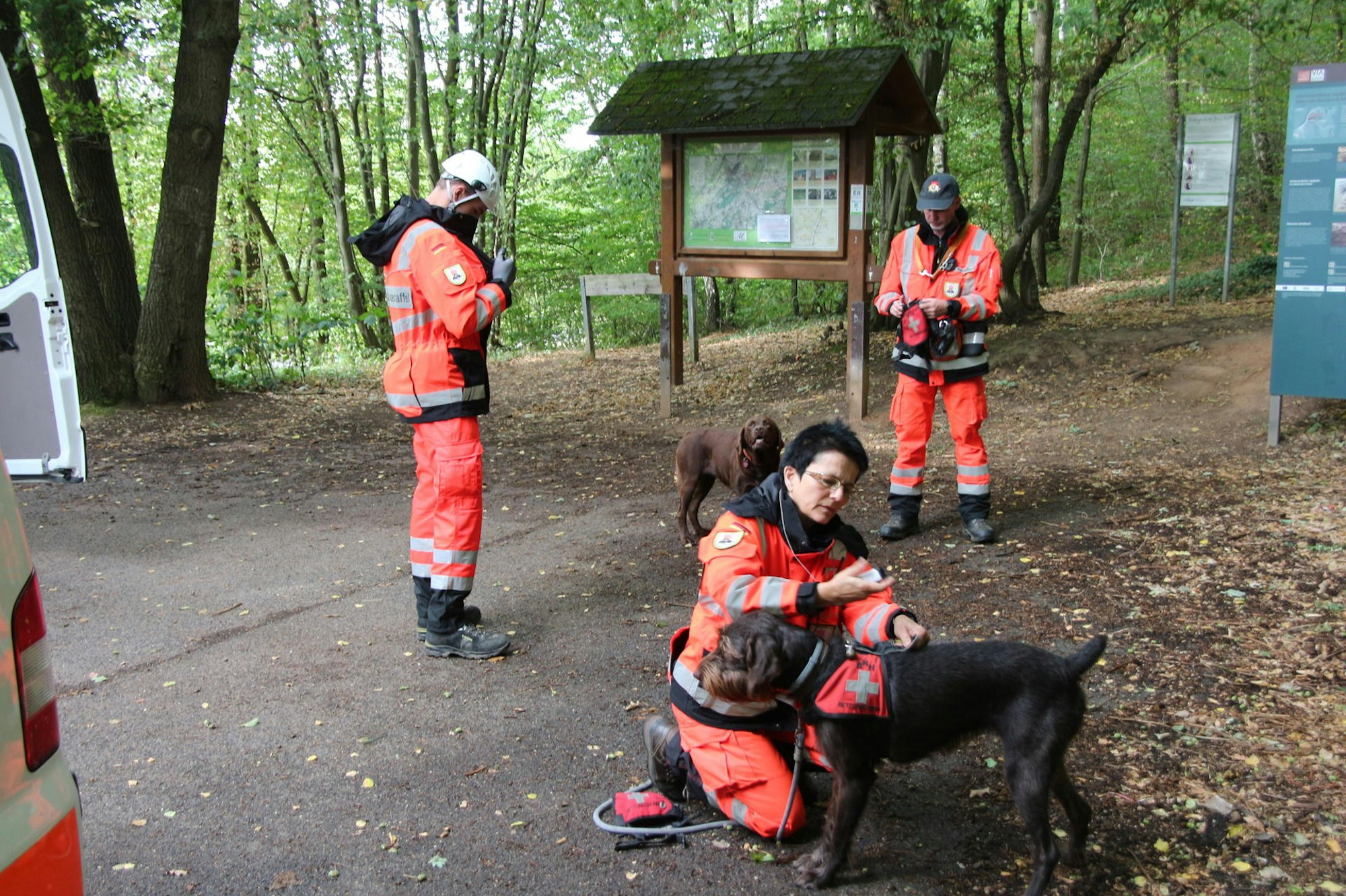 suchaktion-katzvey-007