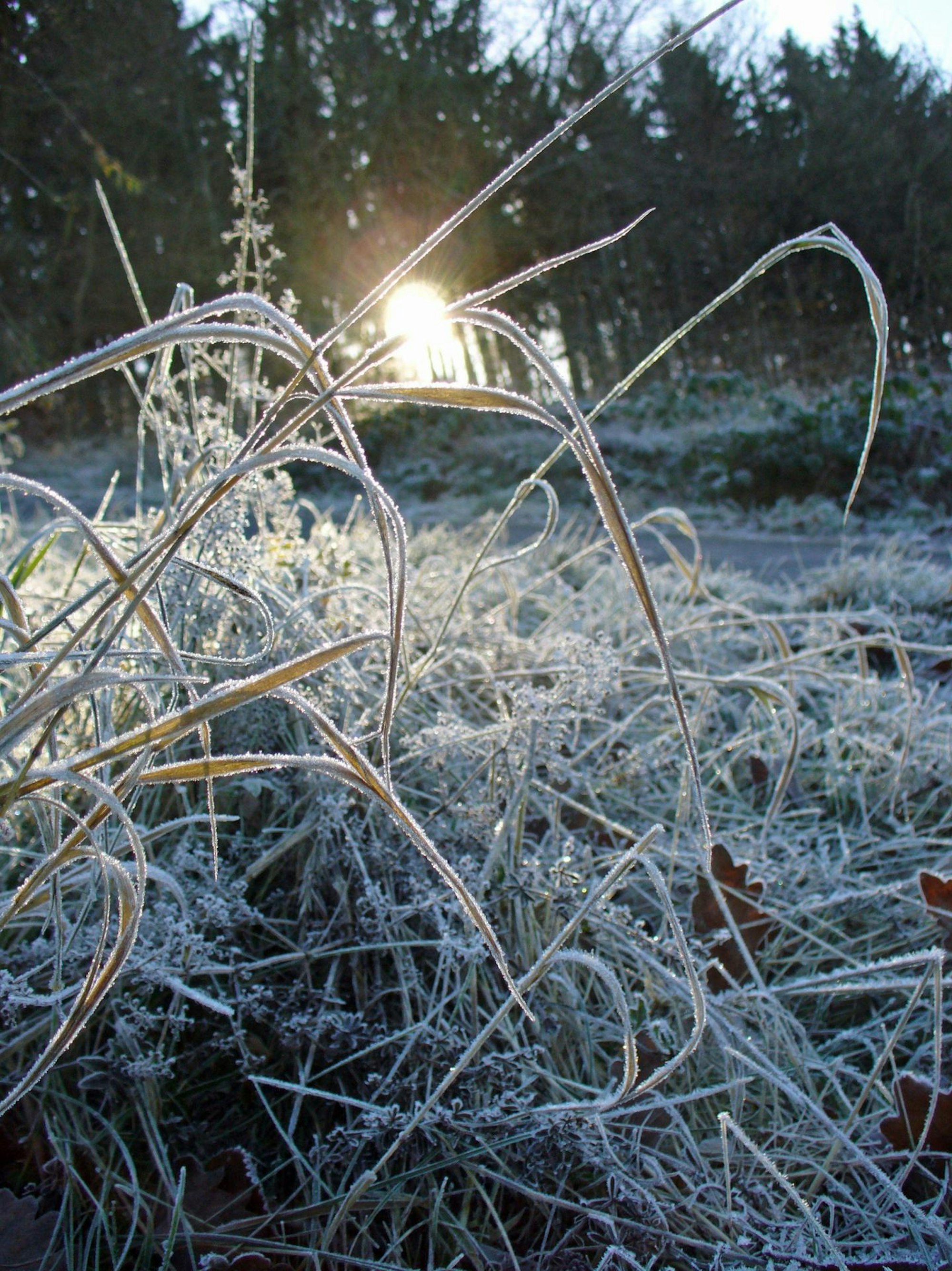 Bad Münstereifel Eifeltipps 3