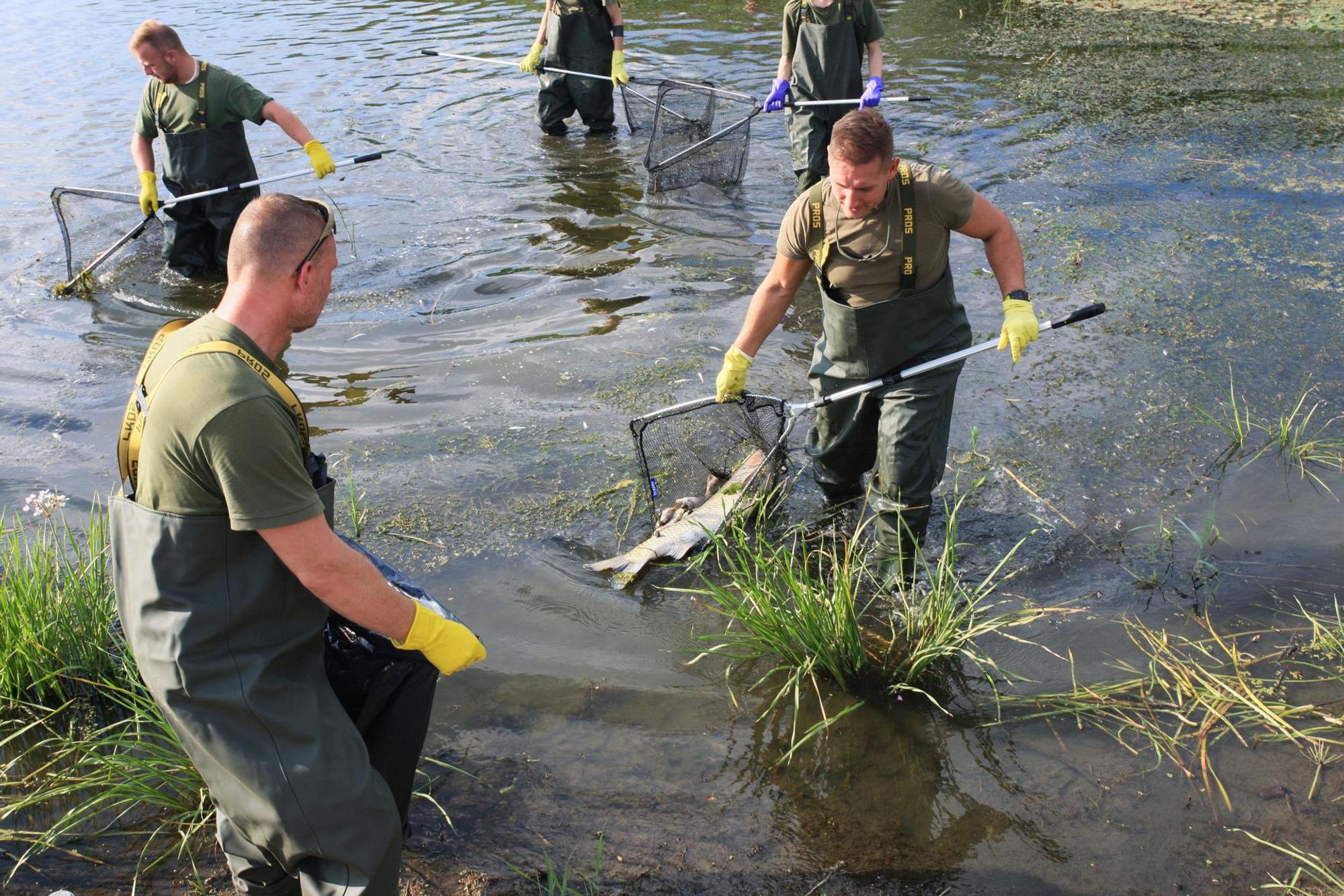 Fischsterben in der Oder_003