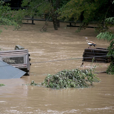 Eifel_Zoo_in_Lueneba_57521836